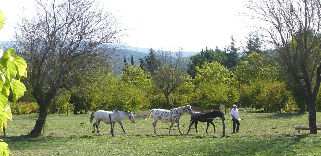 La Petite Galejade Villa Gordes Bagian luar foto
