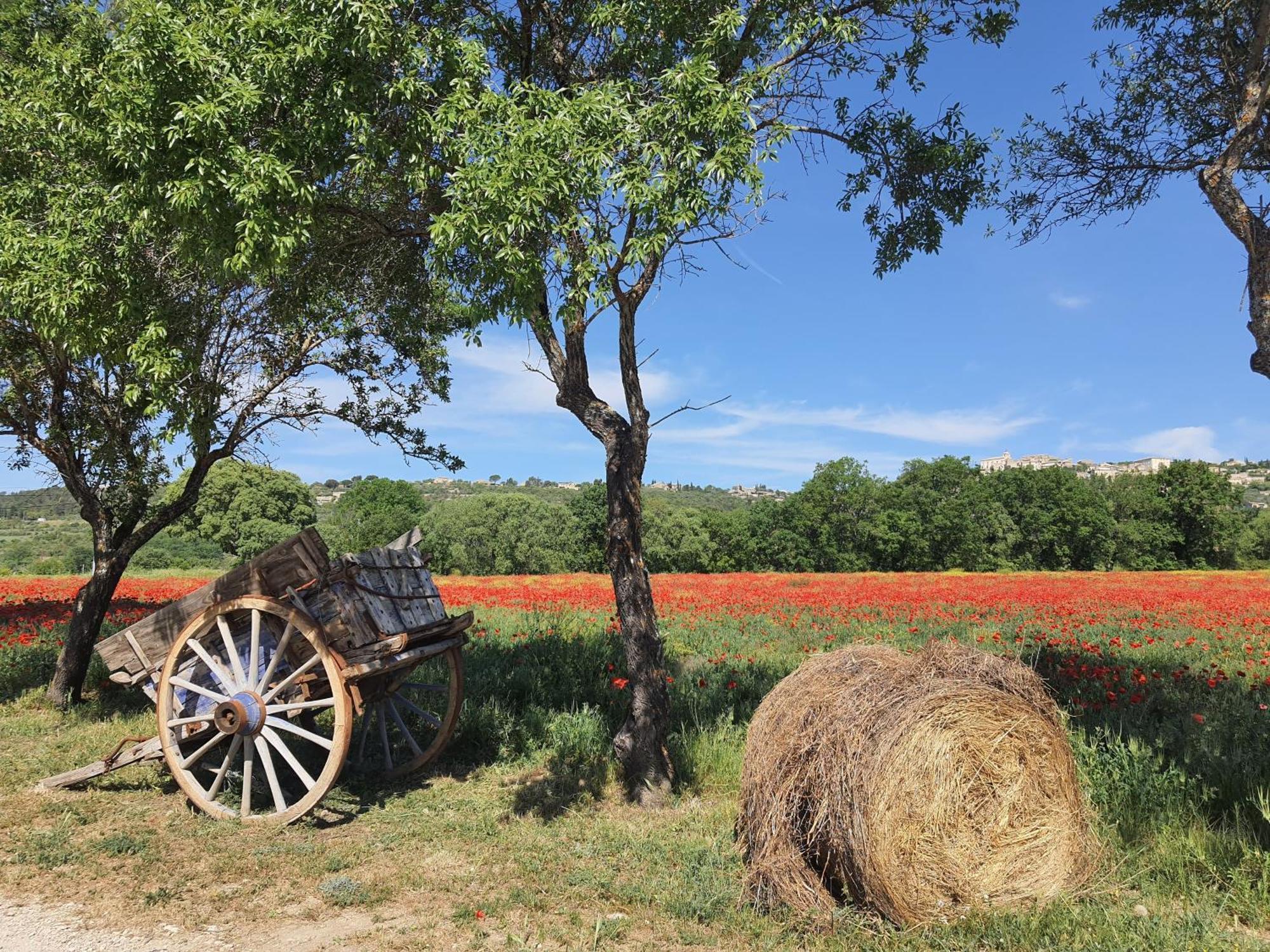 La Petite Galejade Villa Gordes Bagian luar foto