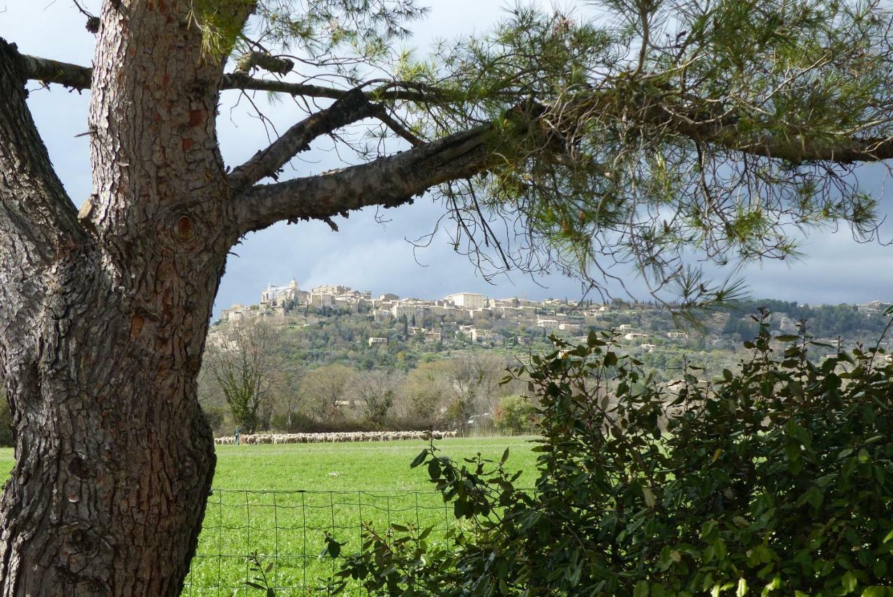 La Petite Galejade Villa Gordes Bagian luar foto